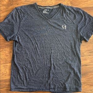 Express Heather Blue V-Neck Tee
